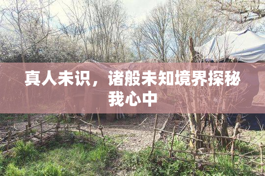 真人未识，诸般未知境界探秘我心中