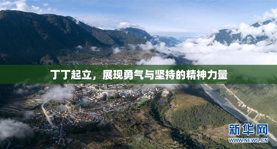 丁丁起立，展现勇气与坚持的精神力量