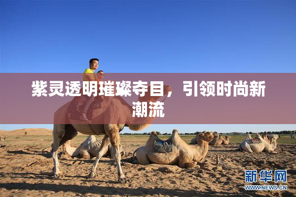 紫灵透明璀璨夺目，引领时尚新潮流