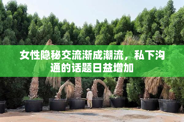 女性隐秘交流渐成潮流，私下沟通的话题日益增加