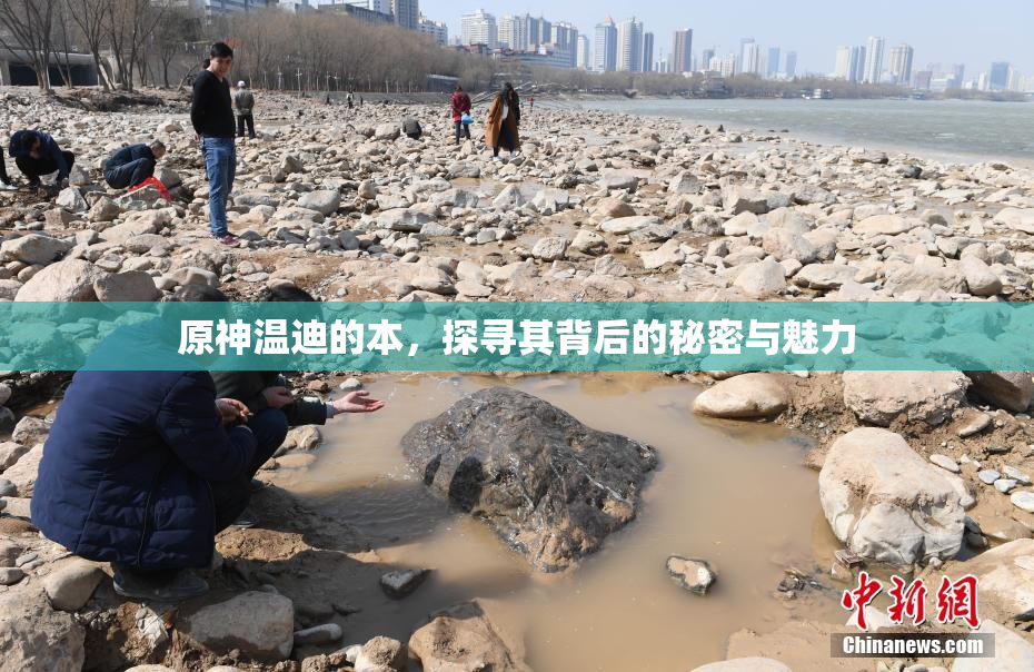 原神温迪的本，探寻其背后的秘密与魅力