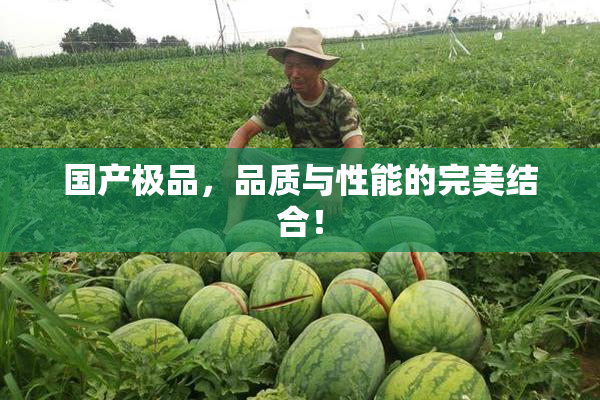 国产极品，品质与性能的完美结合！