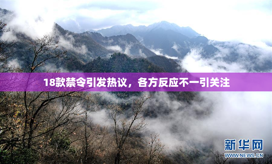 18款禁令引发热议，各方反应不一引关注