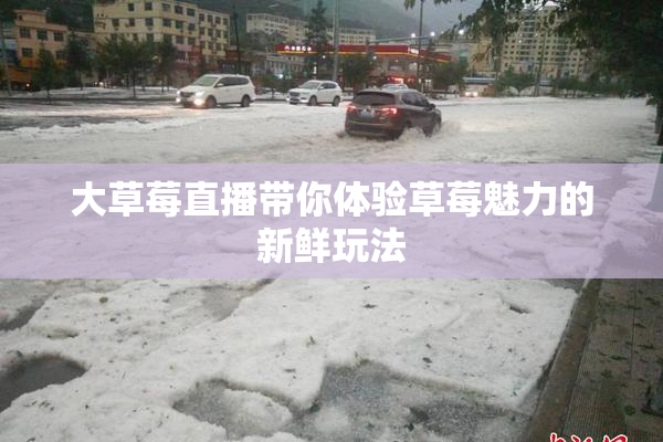 大草莓直播带你体验草莓魅力的新鲜玩法