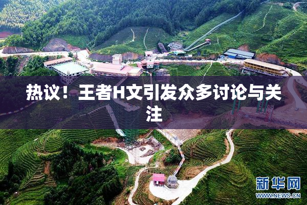 热议！王者H文引发众多讨论与关注