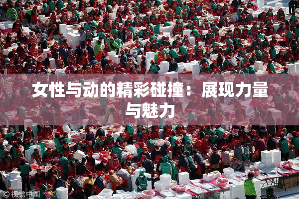 女性与动的精彩碰撞：展现力量与魅力