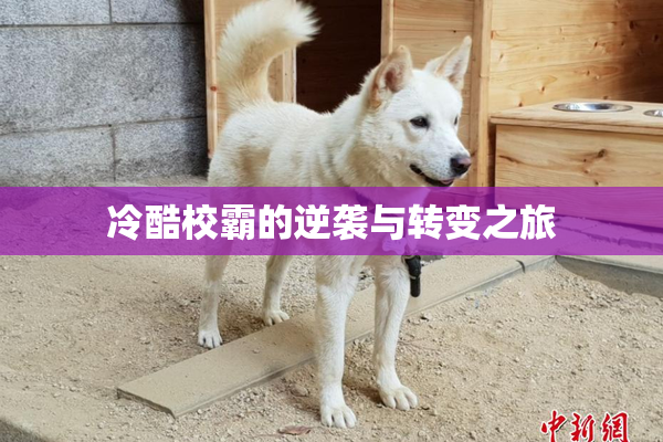 冷酷校霸的逆袭与转变之旅