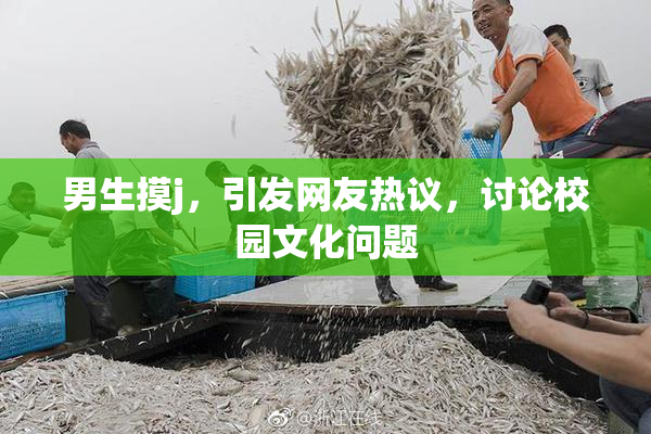男生摸j，引发网友热议，讨论校园文化问题