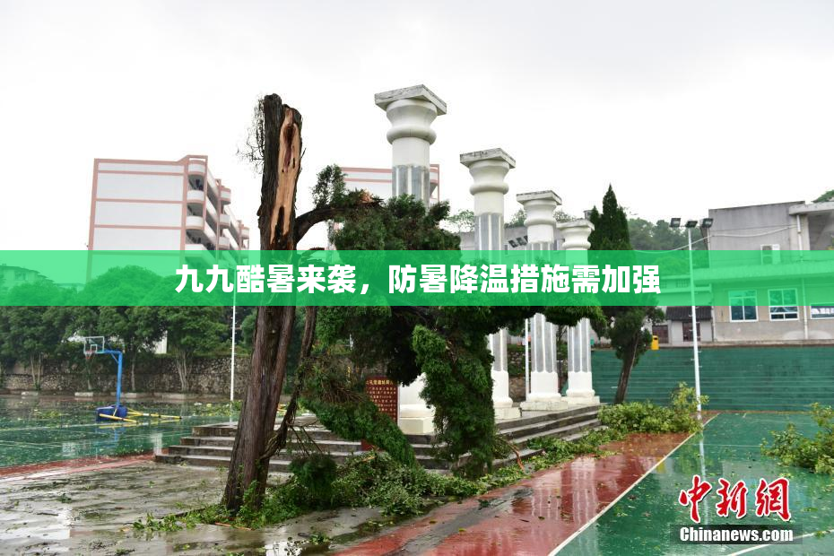 九九酷暑来袭，防暑降温措施需加强