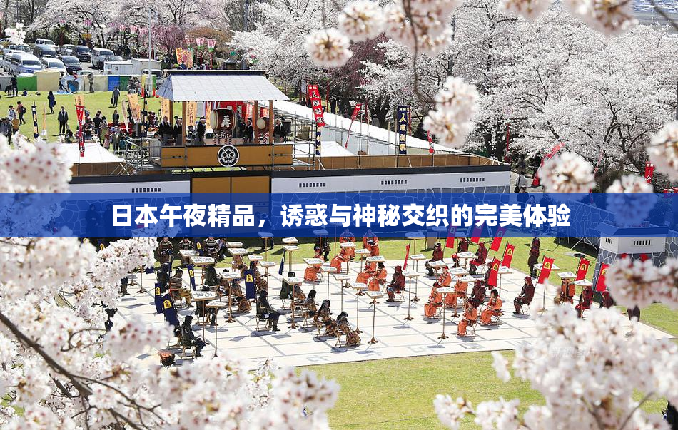 日本午夜精品，诱惑与神秘交织的完美体验