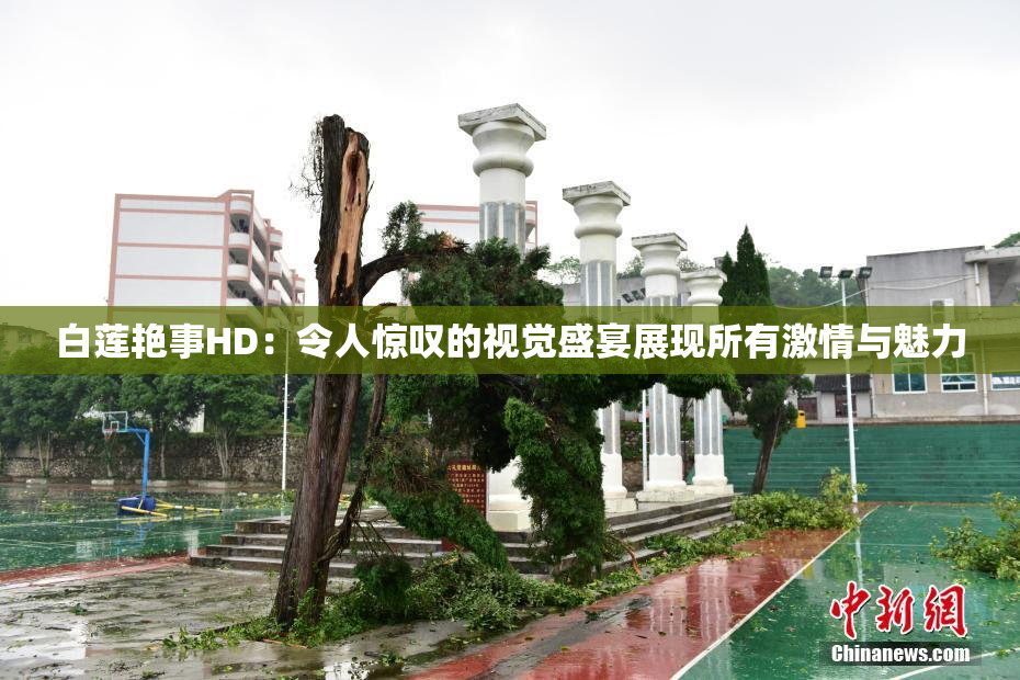 白莲艳事HD：令人惊叹的视觉盛宴展现所有激情与魅力