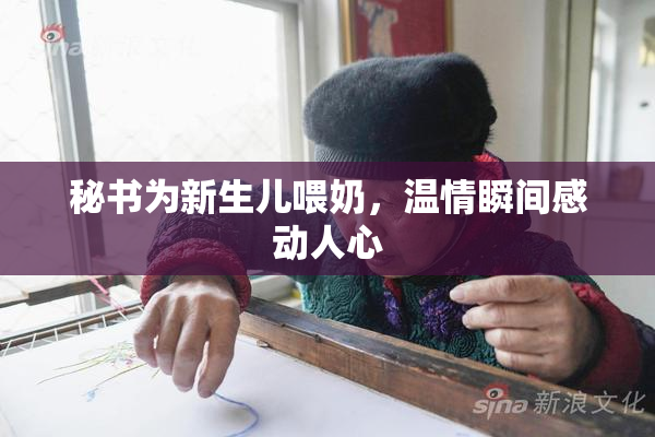 秘书为新生儿喂奶，温情瞬间感动人心