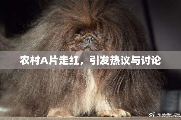 农村A片走红，引发热议与讨论