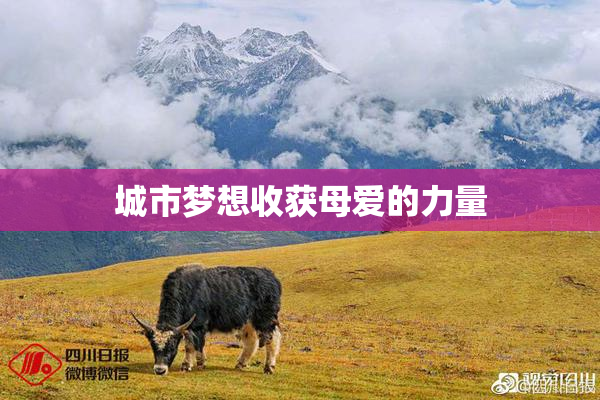 城市梦想收获母爱的力量