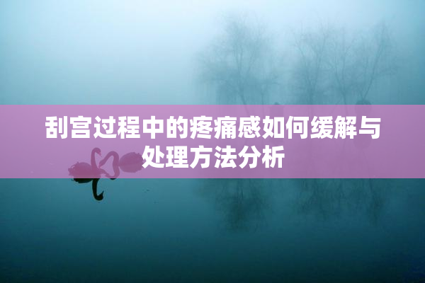 刮宫过程中的疼痛感如何缓解与处理方法分析