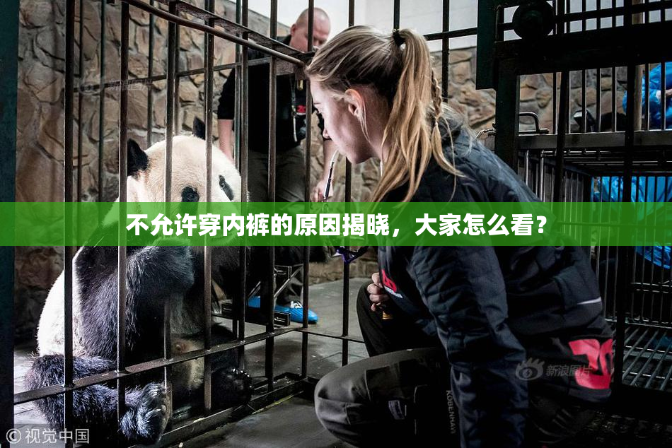 不允许穿内裤的原因揭晓，大家怎么看？