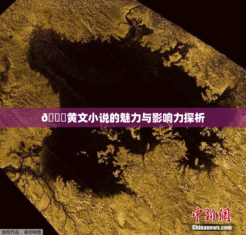 🔞黄文小说的魅力与影响力探析
