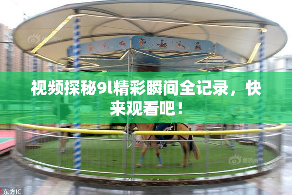视频探秘9l精彩瞬间全记录，快来观看吧！