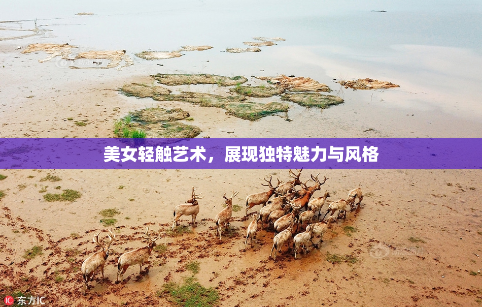 美女轻触艺术，展现独特魅力与风格