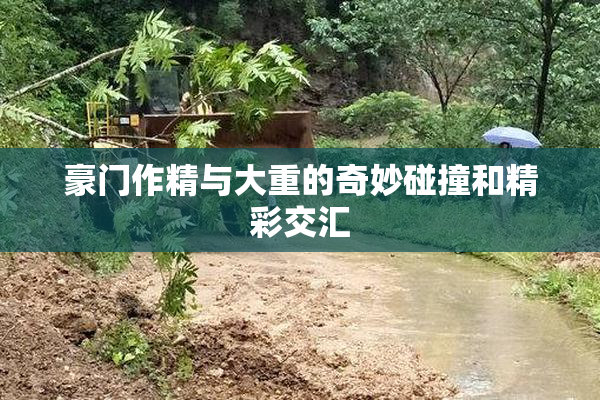 豪门作精与大重的奇妙碰撞和精彩交汇