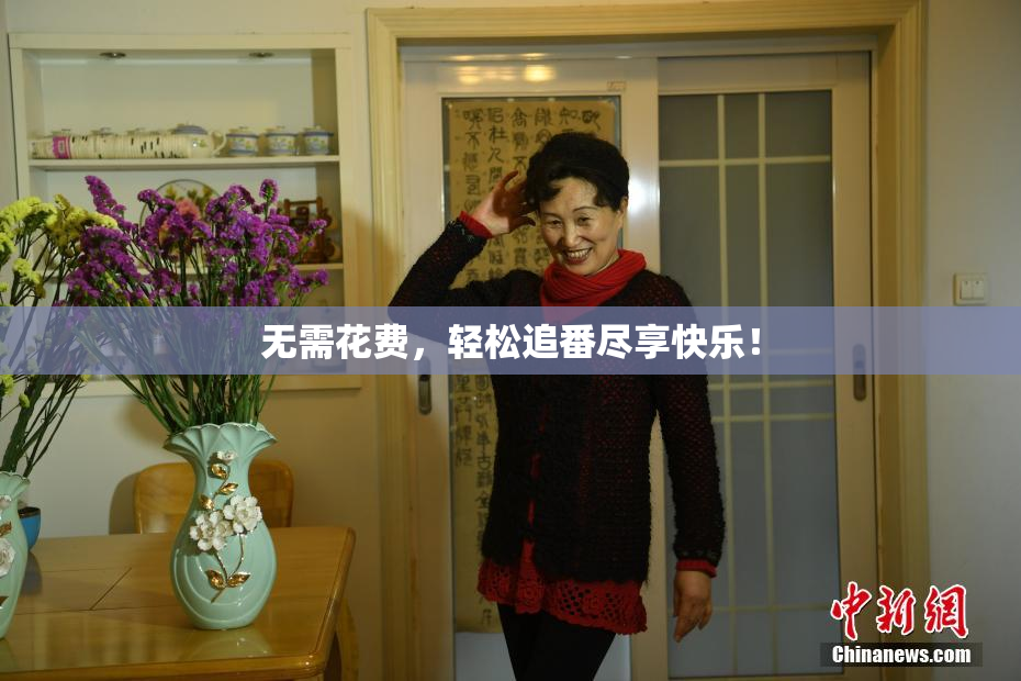 无需花费，轻松追番尽享快乐！
