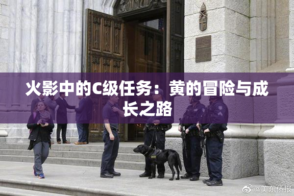 火影中的C级任务：黄的冒险与成长之路