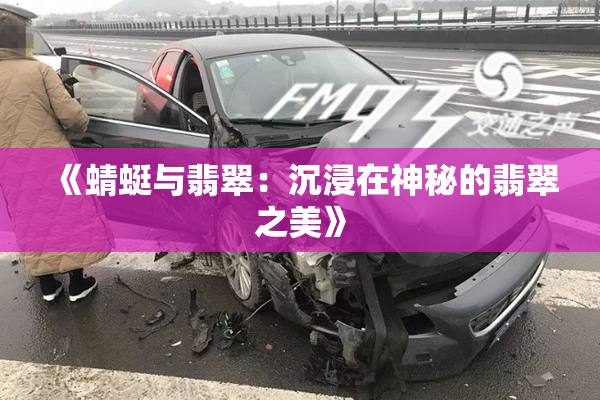 《蜻蜓与翡翠：沉浸在神秘的翡翠之美》
