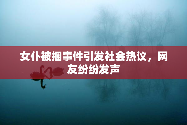 女仆被捆事件引发社会热议，网友纷纷发声