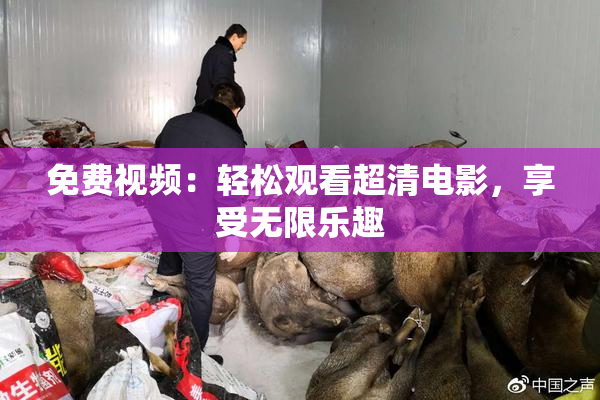 免费视频：轻松观看超清电影，享受无限乐趣