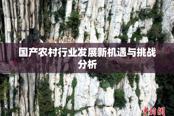 国产农村行业发展新机遇与挑战分析