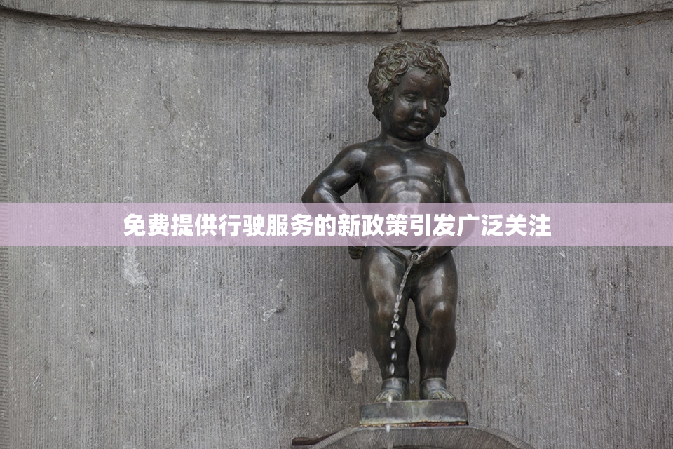 免费提供行驶服务的新政策引发广泛关注