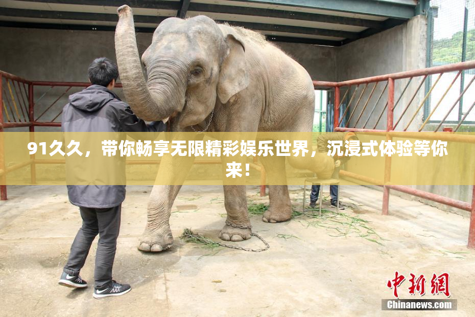 91久久，带你畅享无限精彩娱乐世界，沉浸式体验等你来！