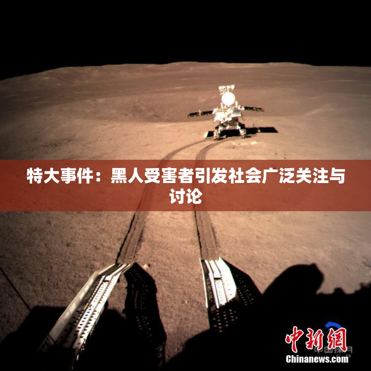 特大事件：黑人受害者引发社会广泛关注与讨论
