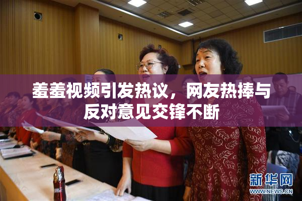 羞羞视频引发热议，网友热捧与反对意见交锋不断