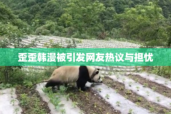 歪歪韩漫被引发网友热议与担忧