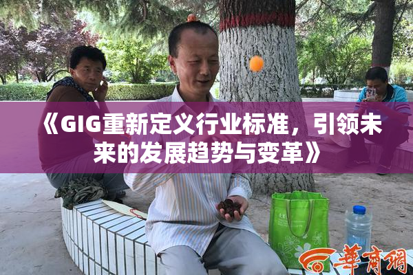《GIG重新定义行业标准，引领未来的发展趋势与变革》