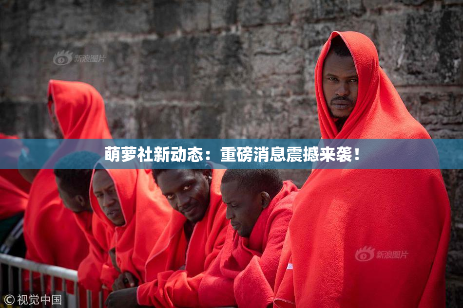 萌萝社新动态：重磅消息震撼来袭！