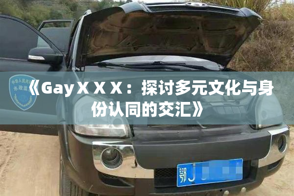 《GayⅩⅩⅩ：探讨多元文化与身份认同的交汇》