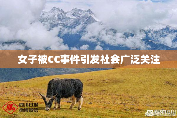 女子被CC事件引发社会广泛关注