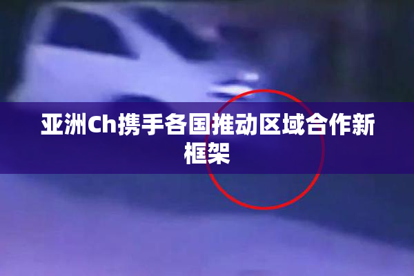 亚洲Ch携手各国推动区域合作新框架
