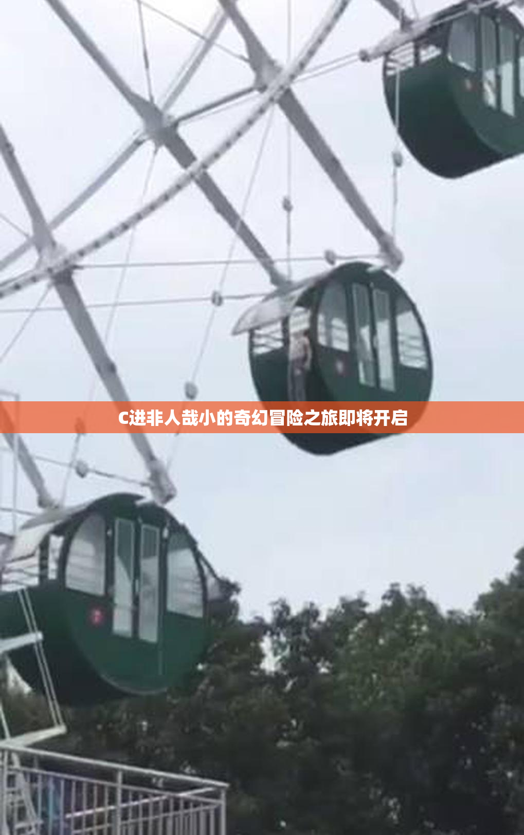 C进非人哉小的奇幻冒险之旅即将开启