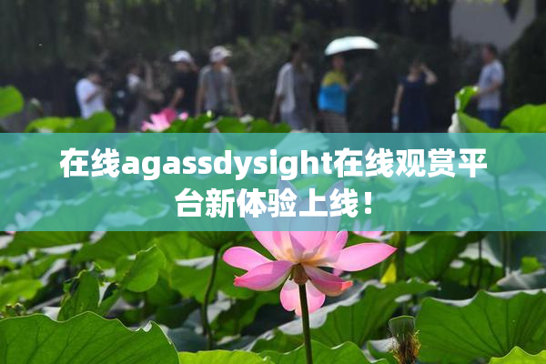 在线agassdysight在线观赏平台新体验上线！