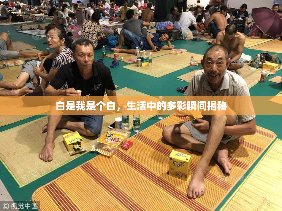 白是我是个白，生活中的多彩瞬间揭秘