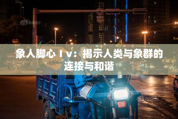 象人脚心Ⅰv：揭示人类与象群的连接与和谐