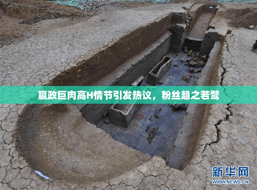 嬴政巨肉高H情节引发热议，粉丝趋之若鹜