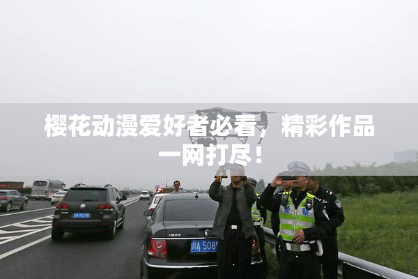樱花动漫爱好者必看，精彩作品一网打尽！