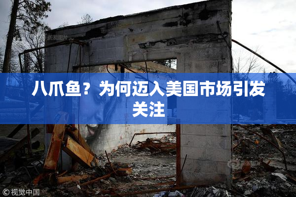八爪鱼？为何迈入美国市场引发关注