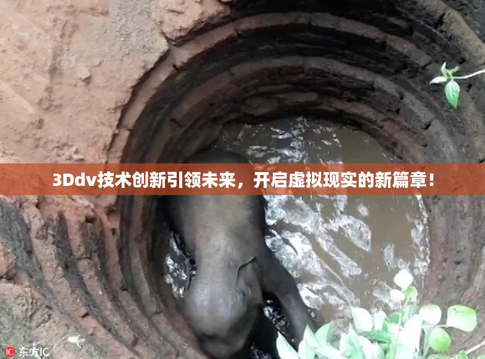 3Ddv技术创新引领未来，开启虚拟现实的新篇章！