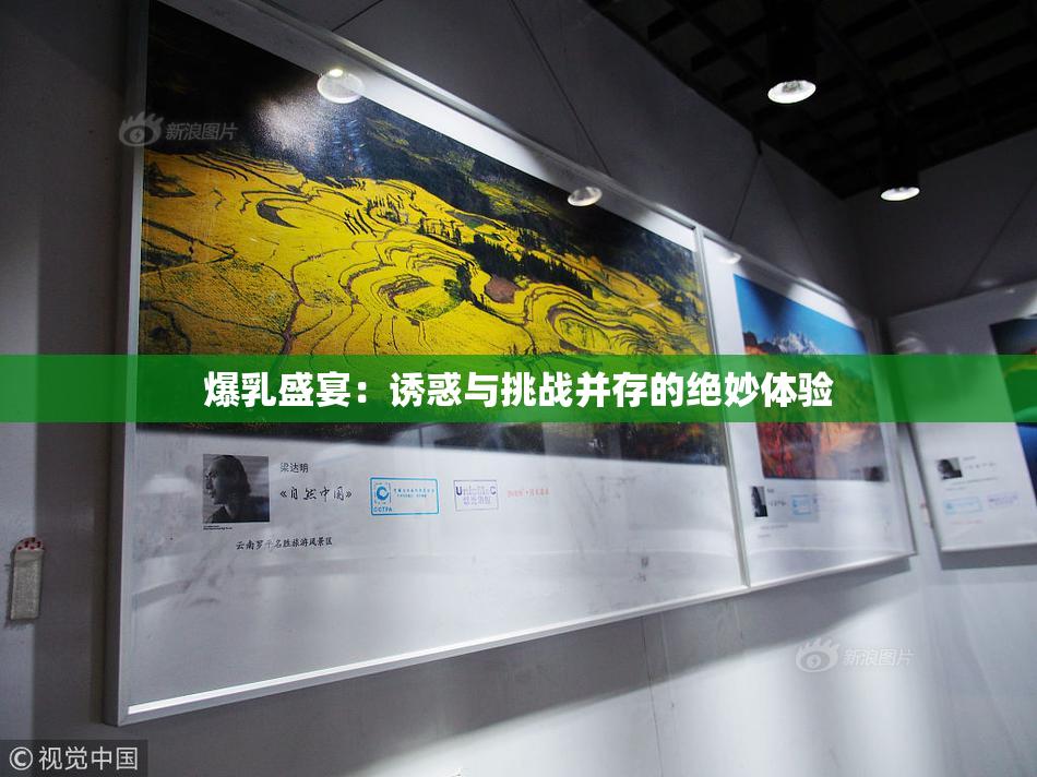 爆乳盛宴：诱惑与挑战并存的绝妙体验