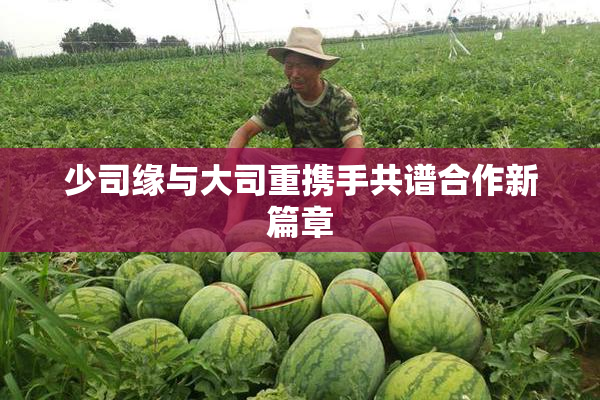 少司缘与大司重携手共谱合作新篇章